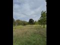 Sisak - Okolica, Lonja