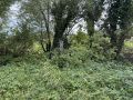Sisak - Okolica, Lonja